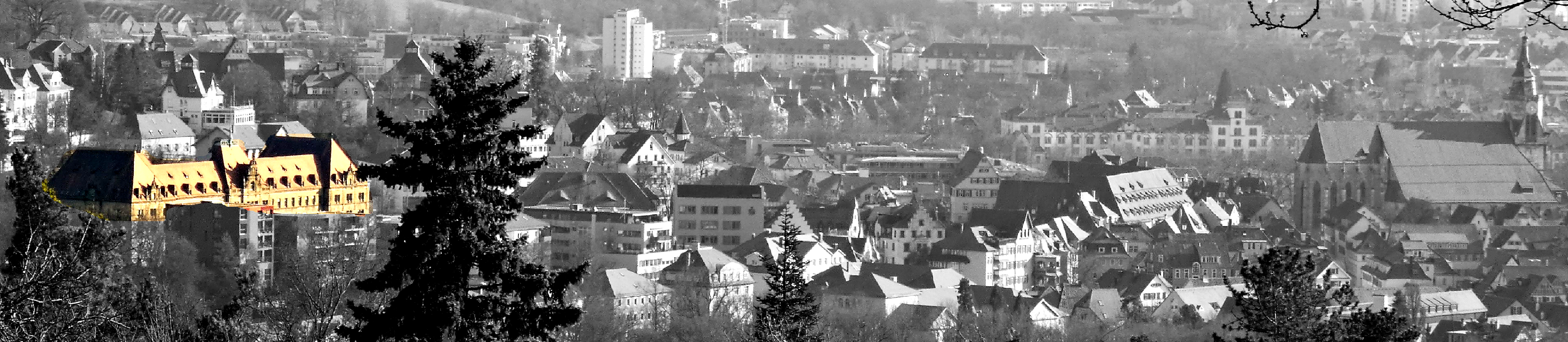 Panorama Tübingen